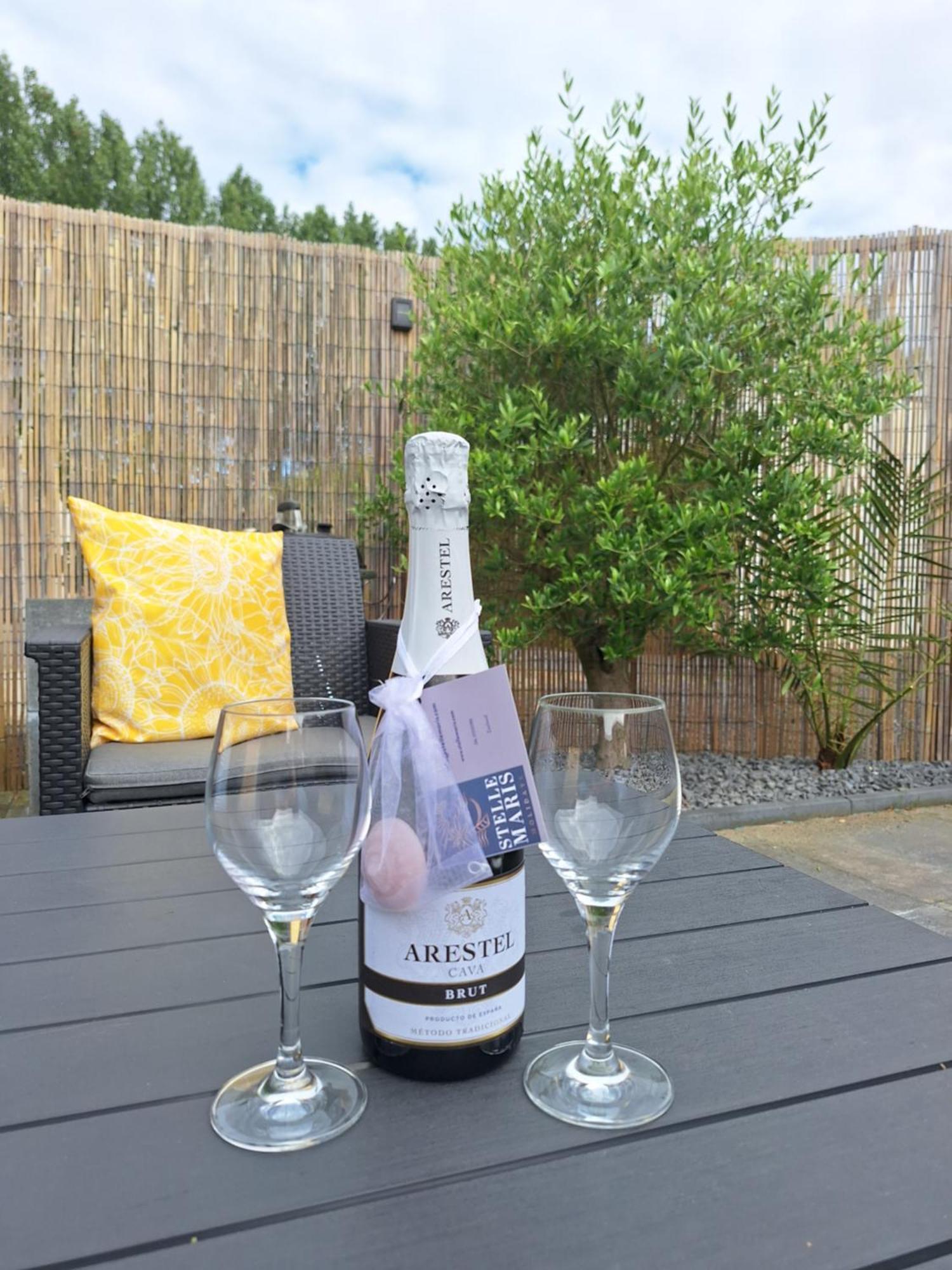 Stelle Maris, Nice Place In Heinkenszand, 2 Bedrooms, Outdoor Swimming Pool, Wifi Smart Tv And Privacy エクステリア 写真